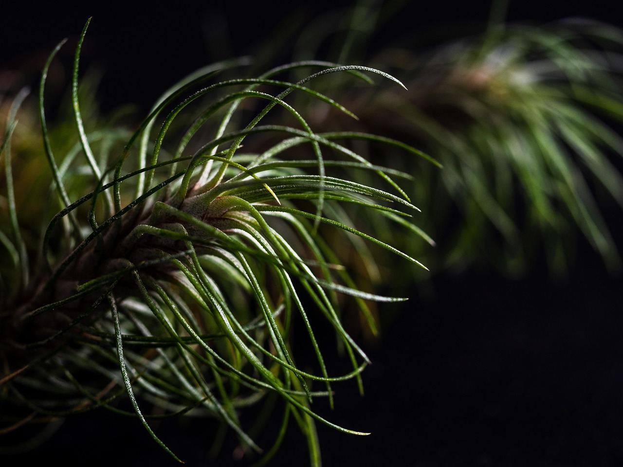 如何通过社区合作防止技术支持？