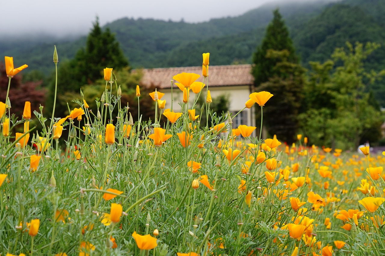 恒越廊坊公司代理注册