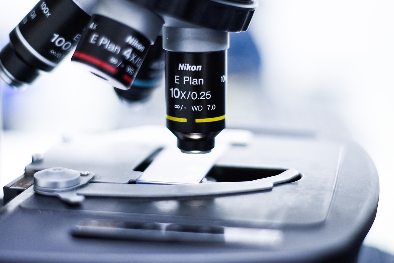 拼多多实名账号：塘沽自贸区代理注册公司