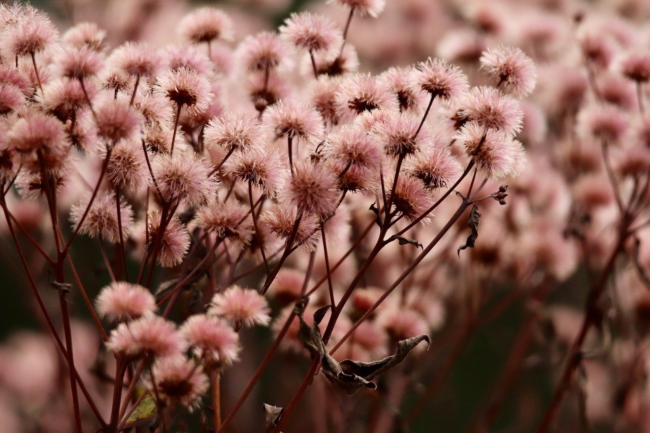 铁盒铁塔猫奶油爆珠：济宁市注册代理记账公司