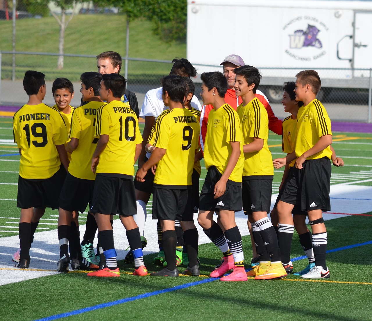 双生幻想：王者皮肤代理批发平台