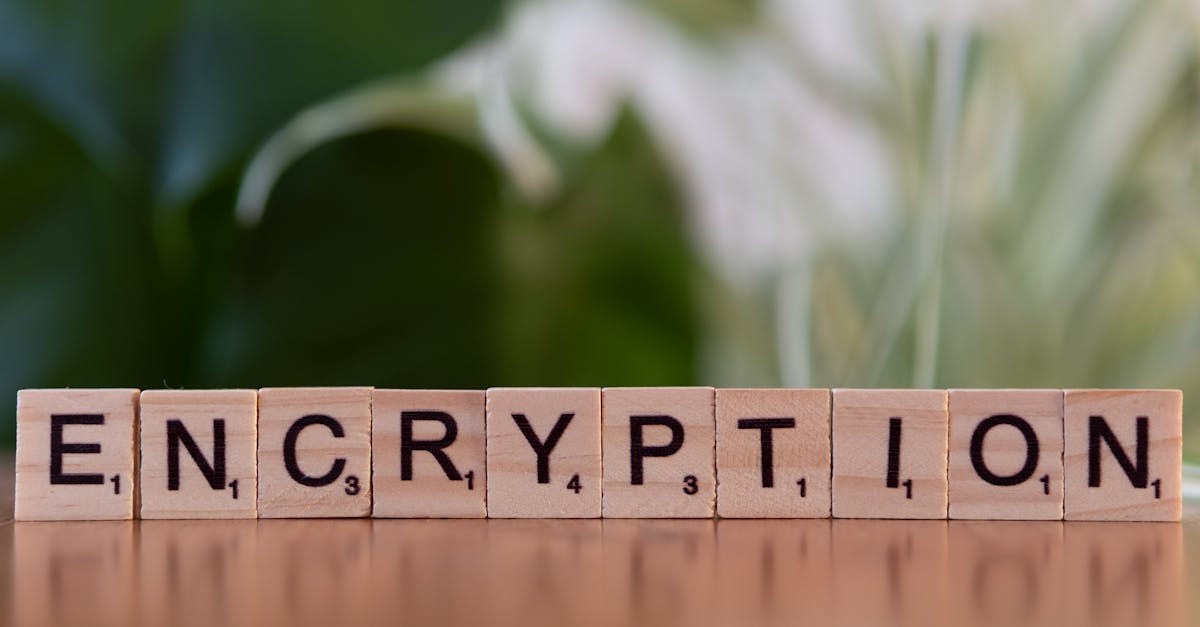 DDOS网页端|如何注册长安通电子卡账号